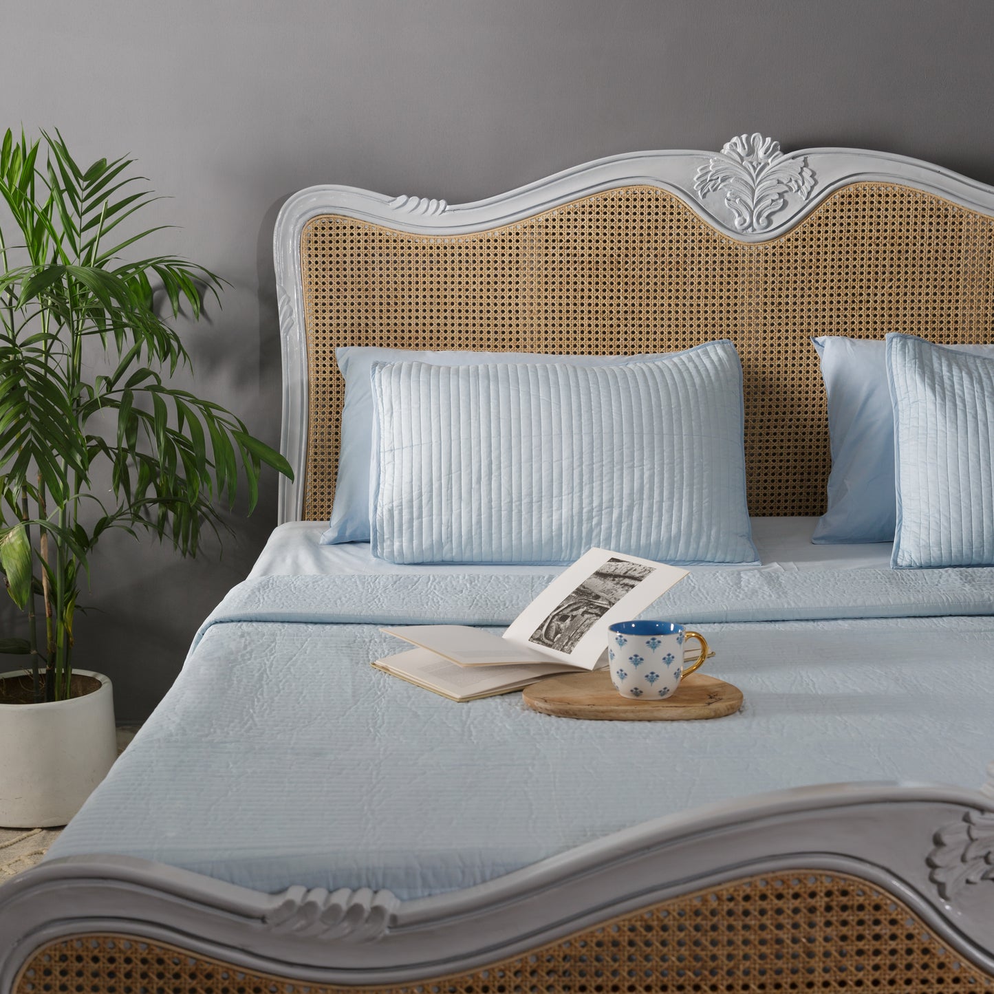 Solid Coral Blue Cotton Bedsheet